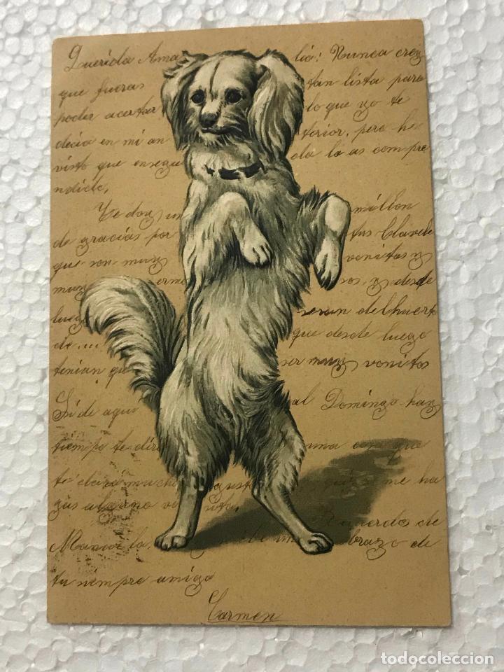 Postais: postal alemana a&ntilde;o 1902 escrita y circulada, perritos