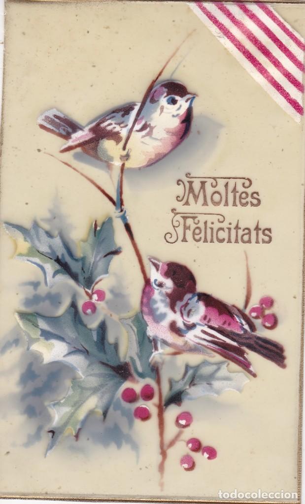 Cartes Postales: Postal con p&aacute;jaros moltes felicitats pintada