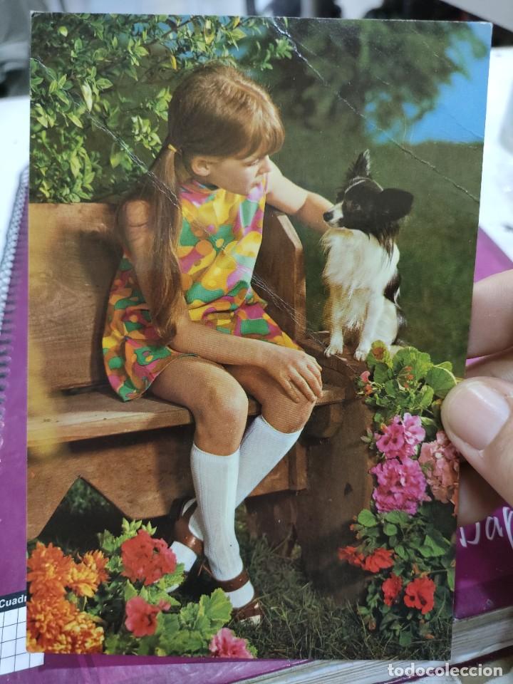 Postcards: Postal C y Z 7459/31-D arrugada