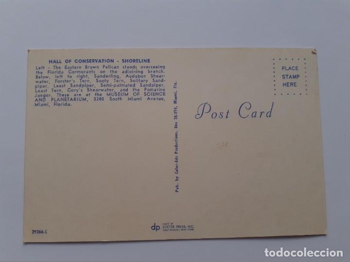 Postales: POSTAL - PEL&Iacute;CANO FLORIDA - S/C - Foto 2