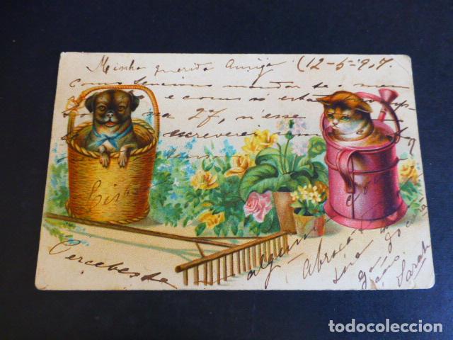 Postales: PERRO Y GATO POSTAL CROMOLITOGRAFICA - Foto 1