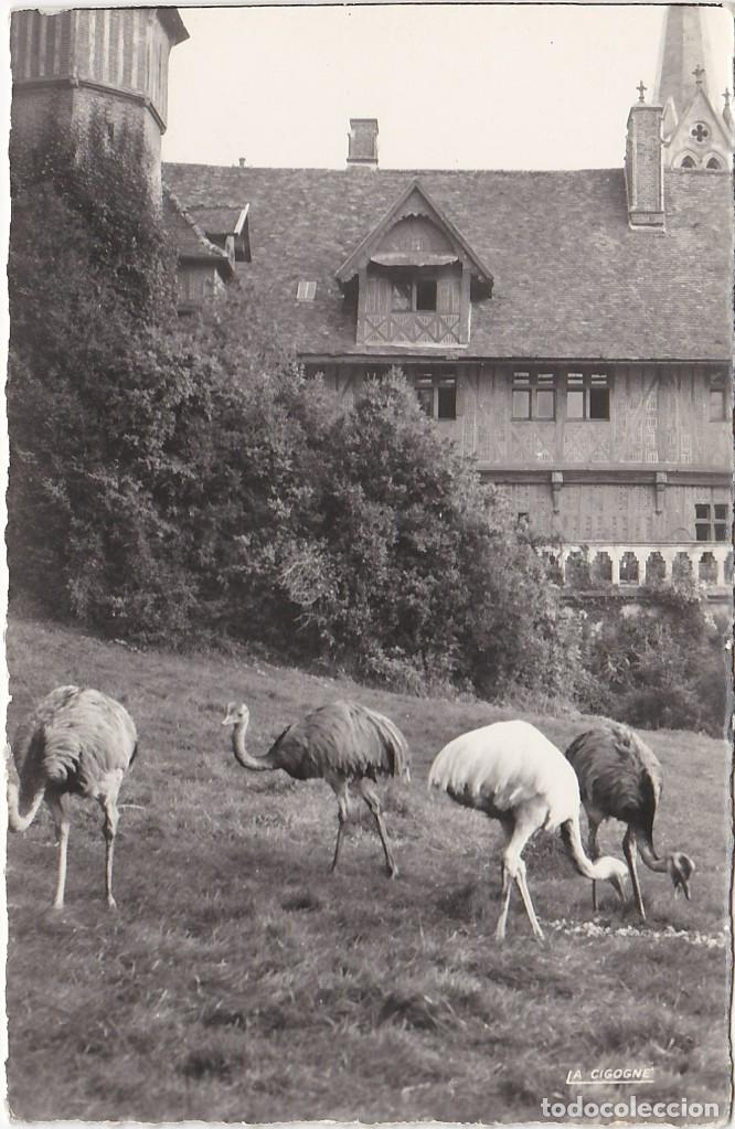 Postkarten: &Ntilde;and&uacute; gris y blanco - Postal Francesa - 138x90mm