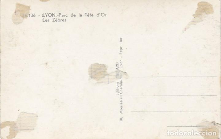 Postales: Cebras - Postal Francesa - 140x90mm - Foto 2