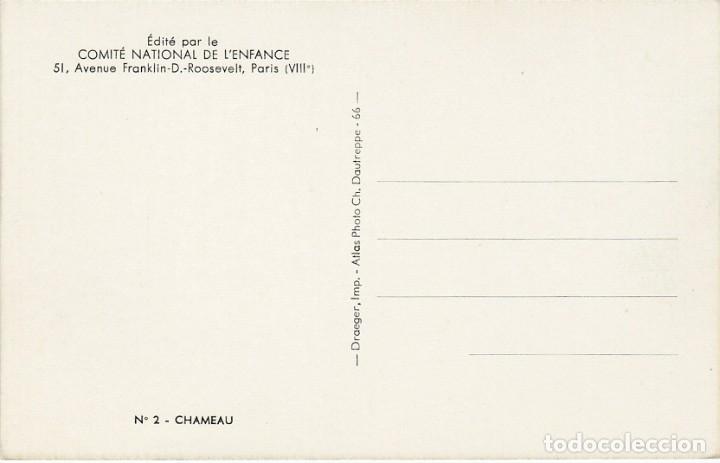 Postales: Camello - Postal Francesa - 140x90mm - Foto 2