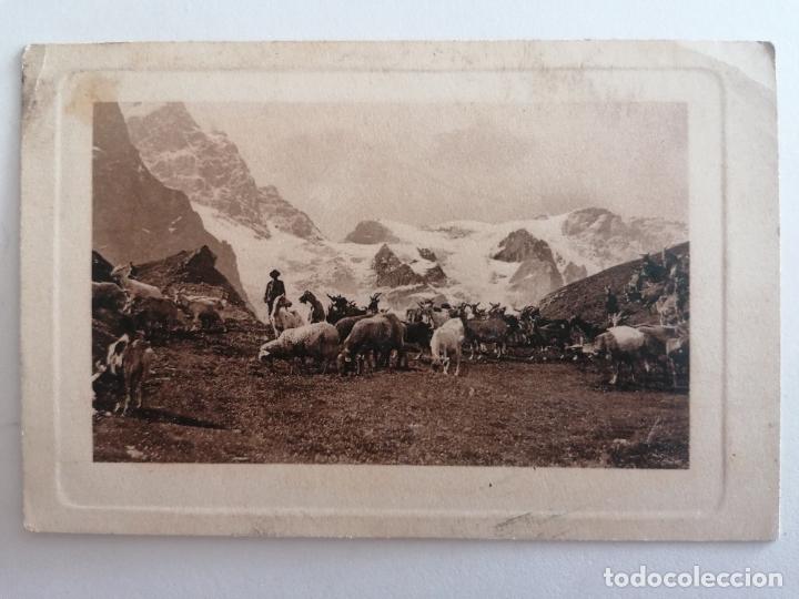Postcards: POSTAL REBA&Ntilde;O DE CABRAS EN LOS ALPES MEDIDA 13,5 X 9 CM
