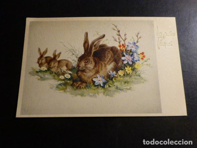Postales: CONEJOS DE PASCUA CON FLORES POSTAL - Foto 1