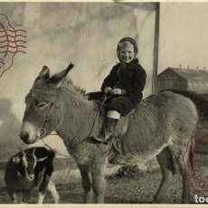 Cartes Postales: RPPC NOVEMBER 1940 THE GIRL, THE DONKEY AND THE GOAT PHOTOGRAPHY REAL PHOTO BURROS ANE DONKEY EZE. Lote 361871740