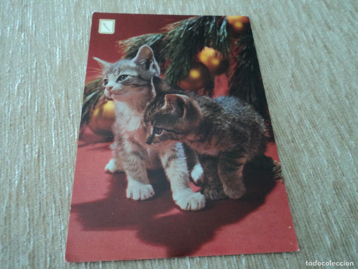 Postais: N&ordm; 29 ANIMALES DOMESTICOS SERIE 6&ordm;, GATOS, ESCUDO DE ORO