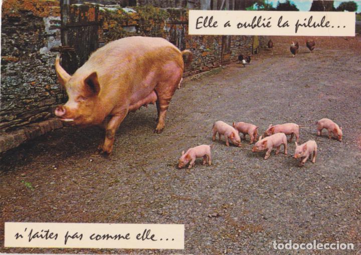 Cartoline: FRANCIA, ELLA OLVIDO LA PASTILLA &ndash; PIERRE ARTAUD 214 &ndash; S/C