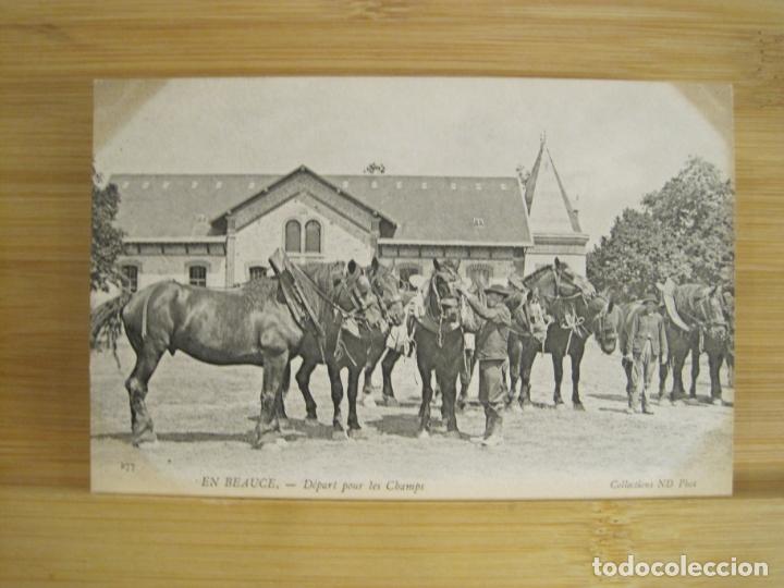 Cartes Postales: CABALLOS-POSTAL ANTIGUA-(97.703)