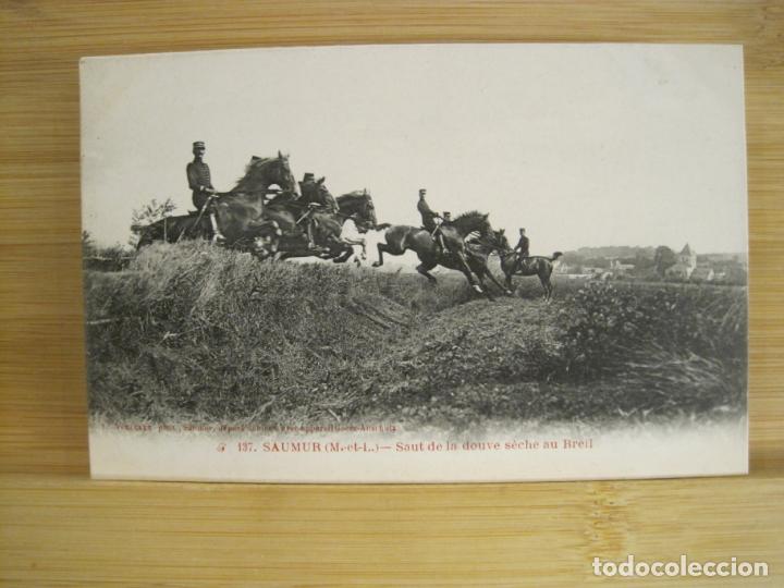 Cartes Postales: CABALLOS-POSTAL ANTIGUA-(97.711)