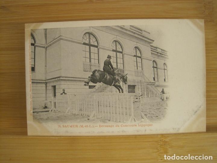 Cartes Postales: CABALLO-POSTAL ANTIGUA-(97.717)