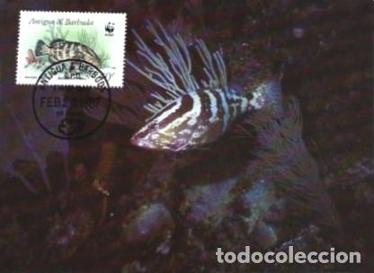 Postcards: Antigua e Barbuda & Maximo, WWF, Agrupador, Epinephelus marginatus, 1987 (99876)