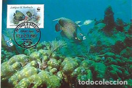 Postais: Antigua e Barbuda & Maximo, WWF, Pez Angel Franc&eacute;s, Pomacanthus paru 1987 (99896)