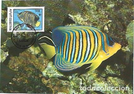 Postais: Maldivas & Maxima, WWF Pez Angel Real, Pygoplites diacanthus, Male 1986 (9879)