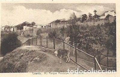 Cartes Postales: Angola ** & Postale, Portugal Ultramar, En el Parque Municipal a Cefo (636)