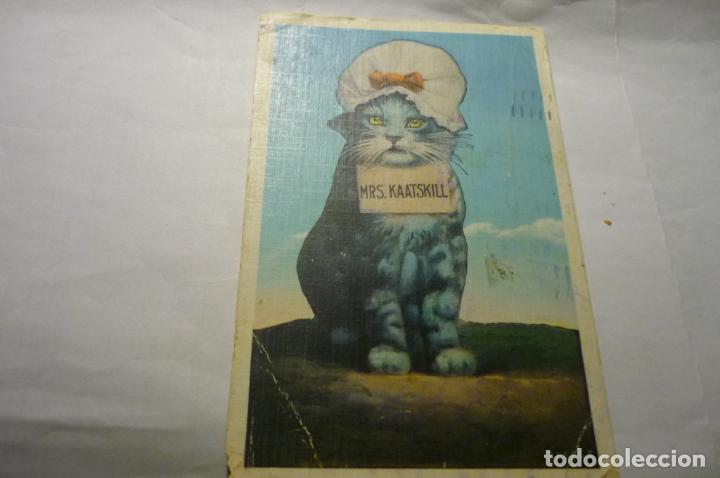 Cartes Postales: POSTAL EXTRANJERA .-GATO CIRCULADA CON SELLO REPUBLICA ESPA&Ntilde;OLA.-CENSURA CM