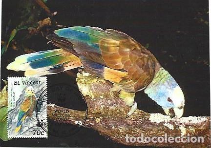 Postais: S&atilde;o Vicente & M&aacute;xima, WWF S&atilde;o Loro de Sao Vicente, Amazon guildingii, Kingstown 1989 (8080)