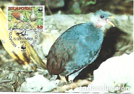 Postais: Niuafo'ou & Maxima,WWF Maleo, Macroc&eacute;falo maleo1992 (80080)