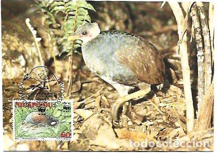 Postais: Niuafo'ou & Maxima,WWF Maleo, Macroc&eacute;falo maleo1992 (822220)
