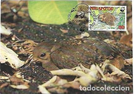 Postais: Niuafo'ou & Maxima,WWF Maleo, Macroc&eacute;falo maleo1992 (8999920)