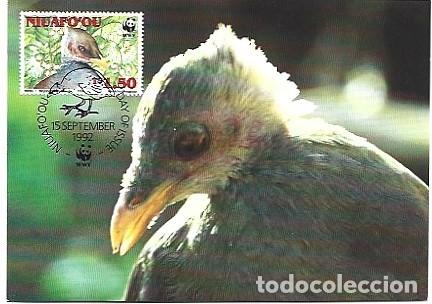 Postais: Niuafo'ou & Maxima,WWF Maleo, Macroc&eacute;falo maleo1992 (8000920)