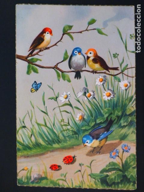Postales: PAJAROS POSTAL ILUSTRADA - Foto 1
