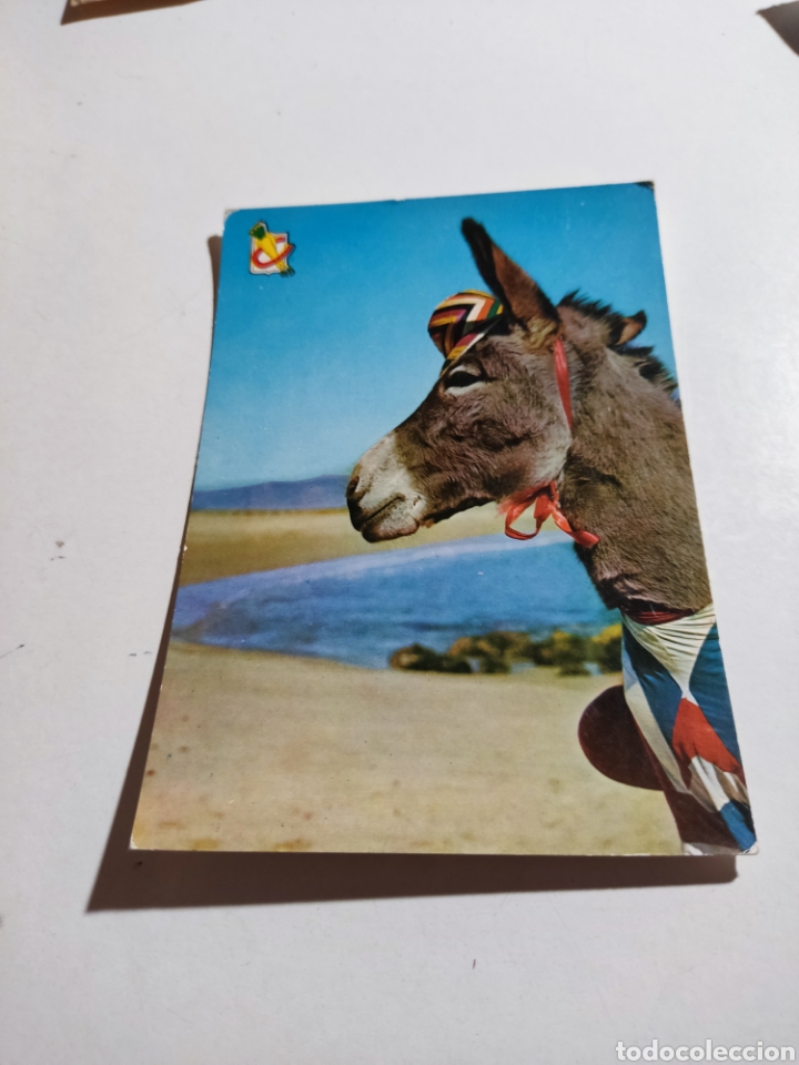 Cartes Postales: Postal burro 1962