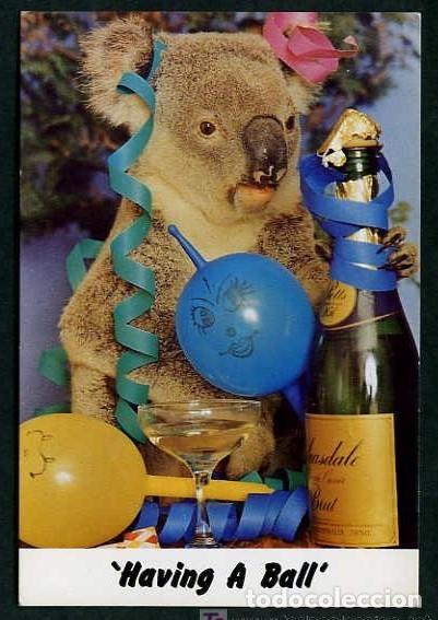 Postcards: Foto: Bob Krouse. *Have a Ball* Ed. Aussie Antics, Australia. Nueva