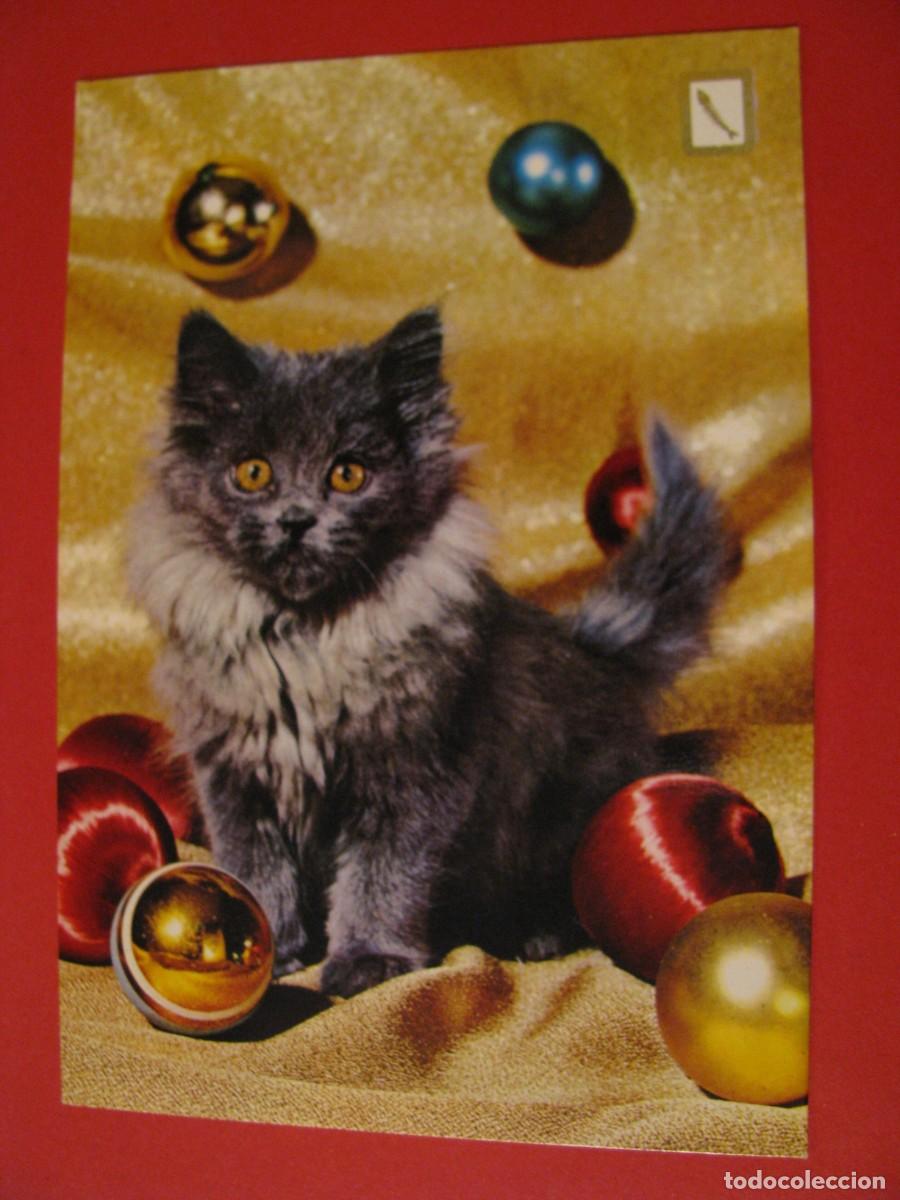 Postkarten: POSTAL DE SERIE ANIMALES DOM&Eacute;STICOS. GATO. ESCUDO DE ORO.