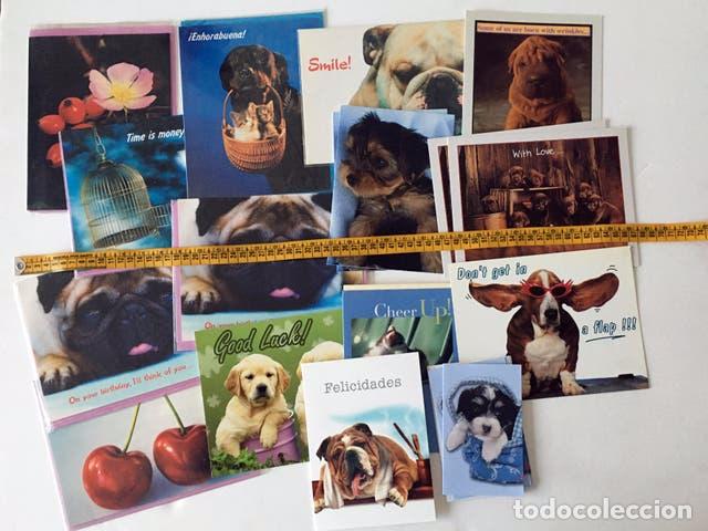 Postcards: TARJETAS POSTALES FELICITACI&Oacute;N - TEM&Aacute;TICA PERROS CACHORROS - NUEVAS