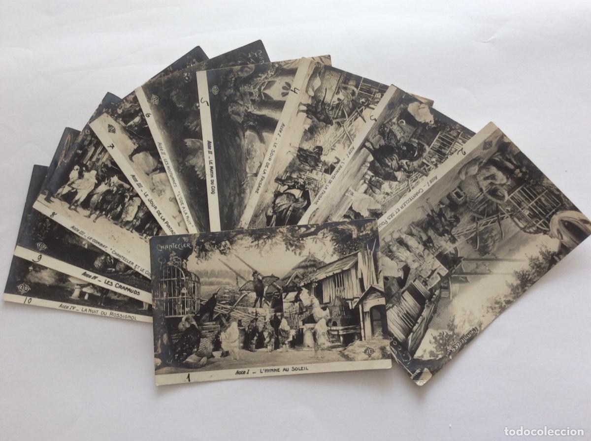 Postcards: 10 POSTAL FOTOGR&Aacute;FICA. GALLO CANTANTE. CHANTECLER.