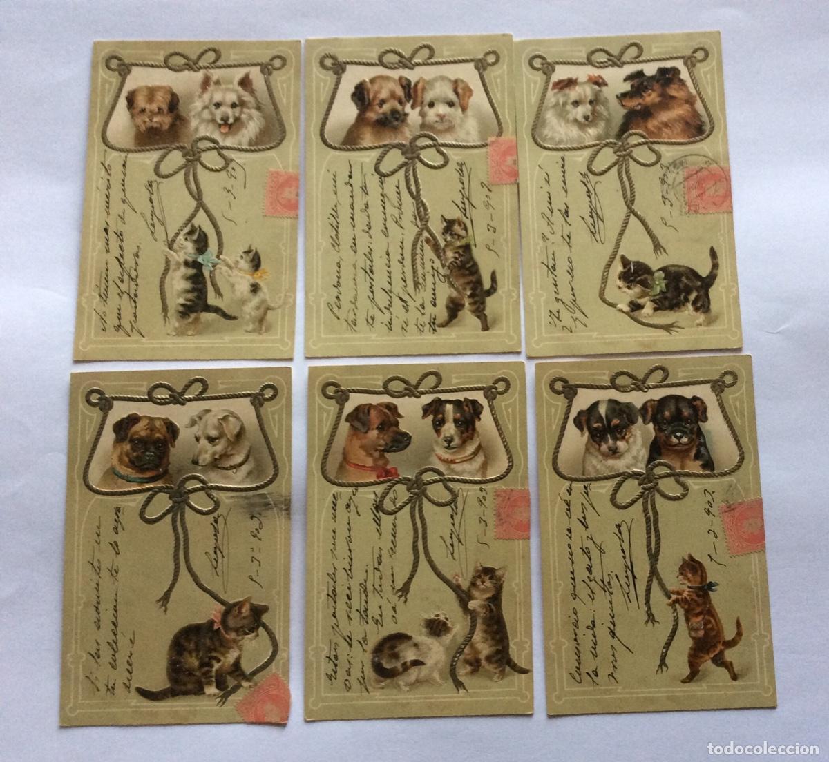 Postcards: 6 POSTAL. CROMOLITOGRAFIA Y RELIEVE. PERRITOS Y GATITOS. SERIE 4008.