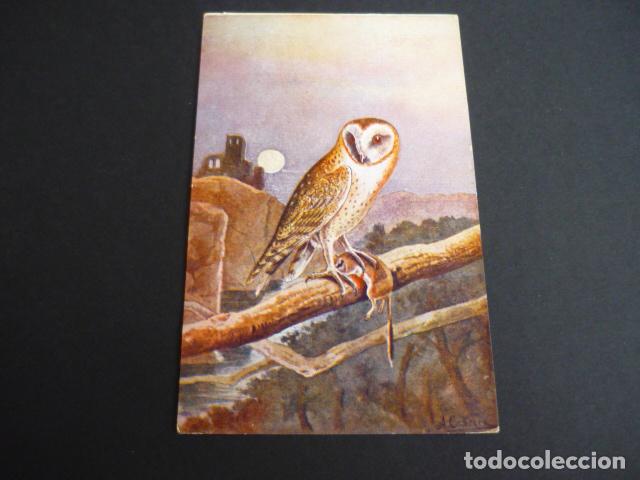 Postales: LECHUZA POSTAL CON TEXTO - Foto 1