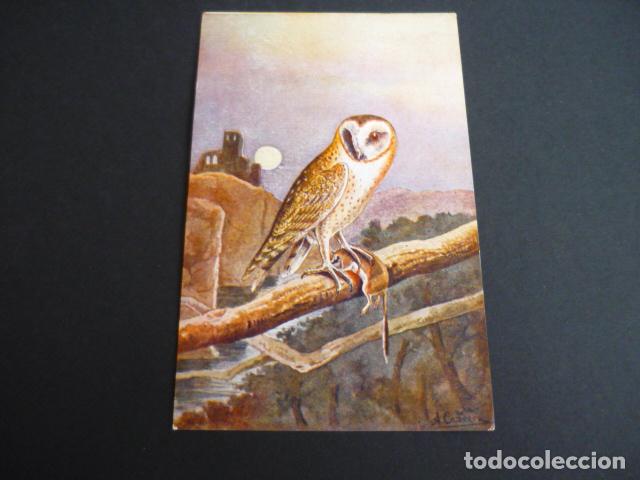 Postales: LECHUZA POSTAL CON TEXTO - Foto 1