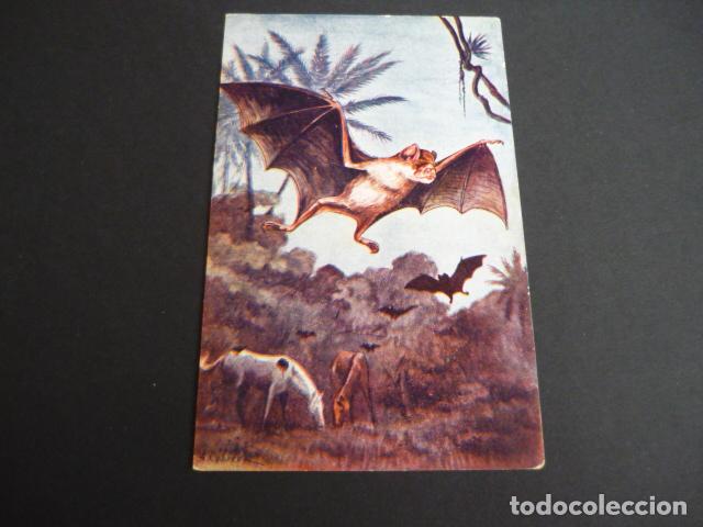 Postales: VAMPIRO POSTAL CON TEXTO - Foto 1
