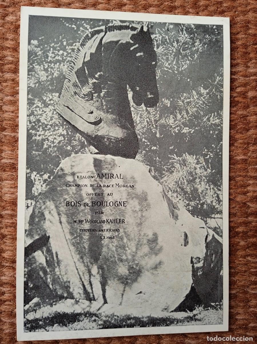 Postcards: CABALLO ETALON AMIRAL CAMPEON DE LA RAZA MORGAN - LA BUDALLERA - VALLVIDRERA