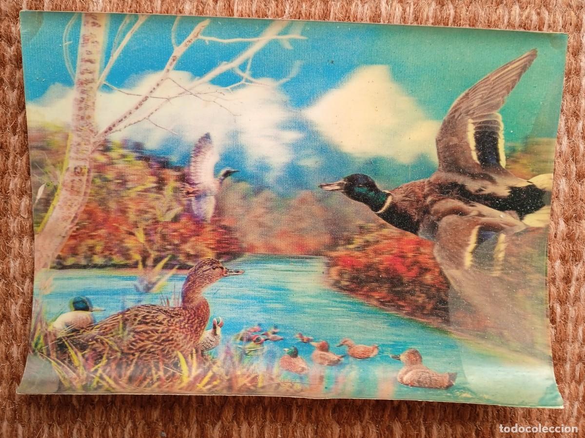 Postcards: PATOS