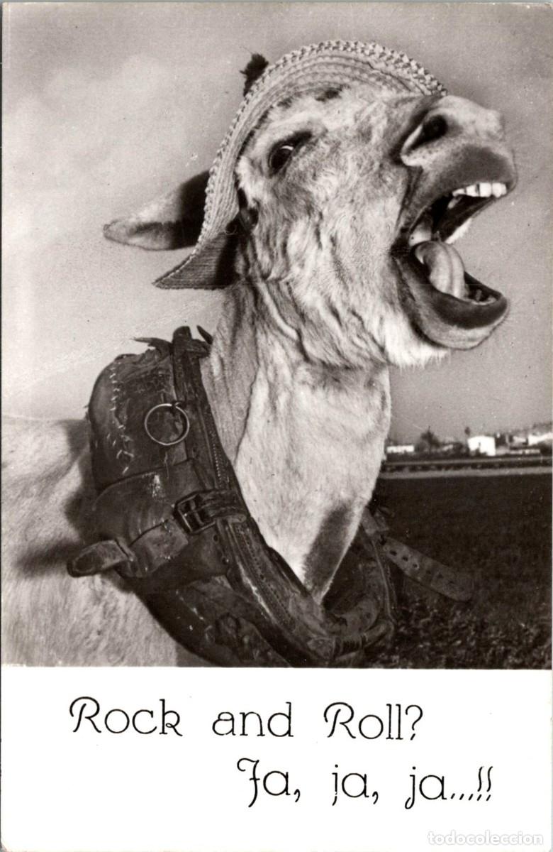 Postcards: Burro - Rock and Roll? - Ia, ia, ia...!! - Dist. Mundi n&ordm; 2 - 139x89mm