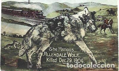 Postais: Gran Bretana & Postale, El Famoso Lobo Allendale (77875)