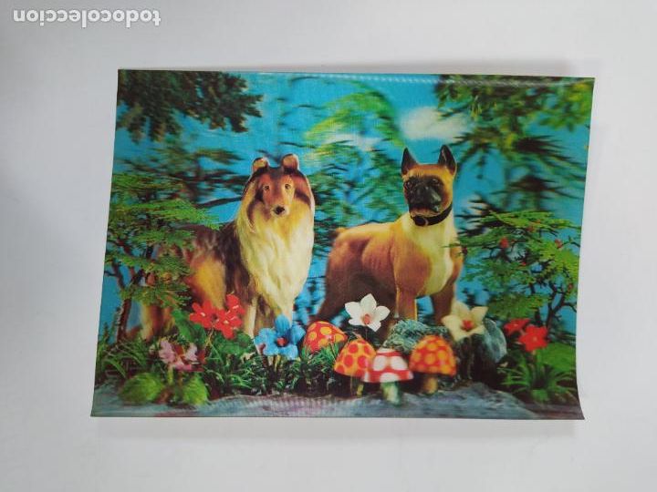 Postales: POSTAL PERROS 3D. TDK20V - Foto 1