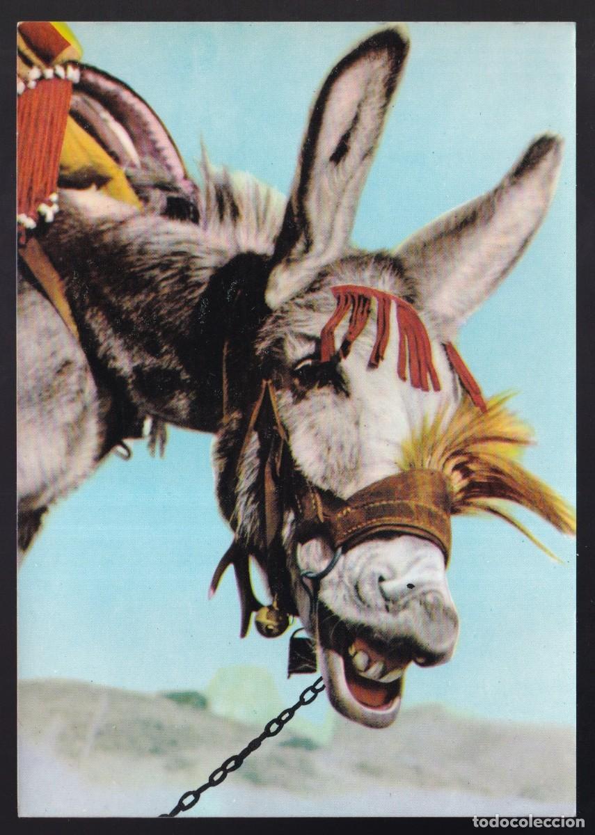 Postais: Espa&ntilde;a. *Burrito alegre* Ed. Doisa n&ordm; 54. Dep. Legal B. 9091-XII. Nueva.