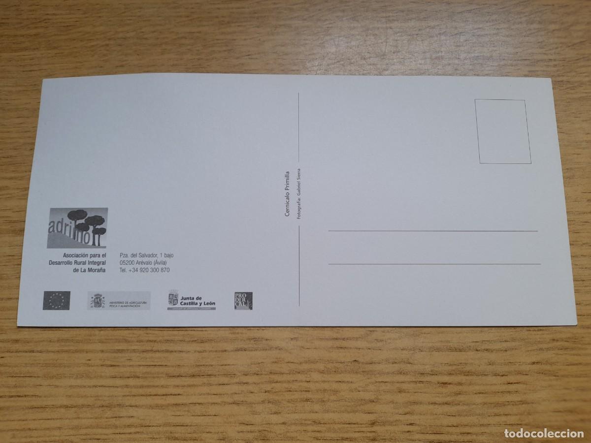 Postales: Cern&iacute;calo primilla - Foto 2