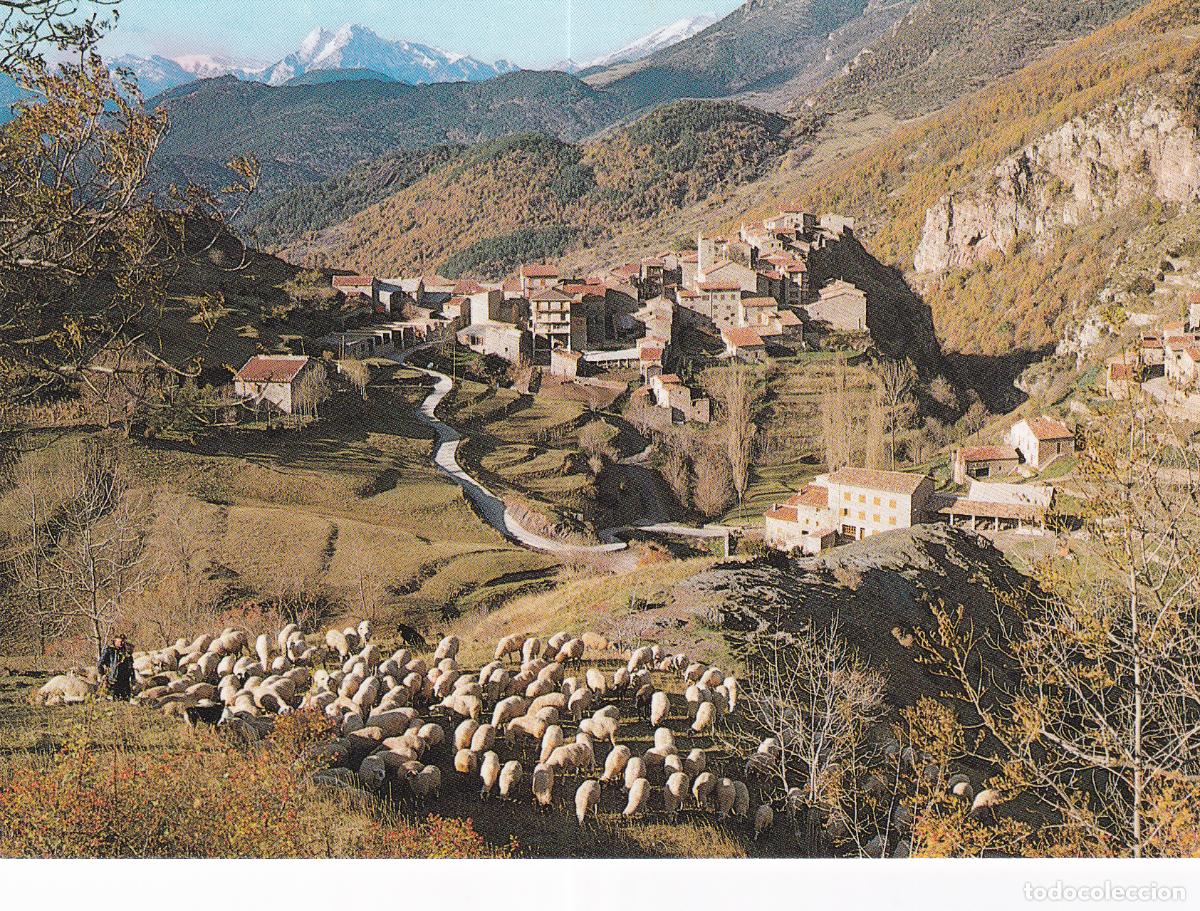 Postales: PASTOR OVEJAS - Foto 1