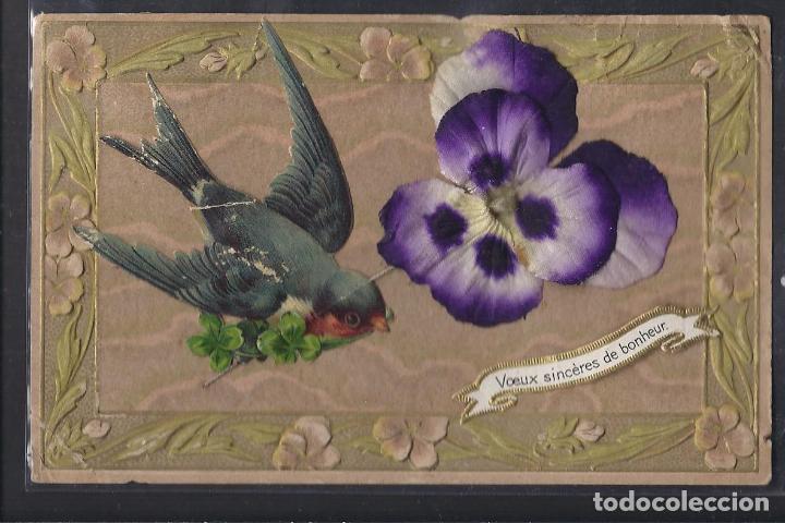 Antigua postal. Golondrina.