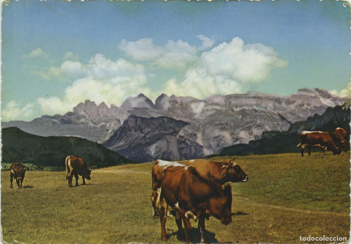 Postales: N&ordm; 437/5-PAISAJE CON VACAS. Escritas en 1957. ED. CPE