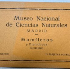 Postales: MUSEO NACIONAL DE CIENCIAS NATURALES - 13 TARJETAS POSTALES - MAMÍFEROS Y DIPLODUCOS - REPTIL FÓSIL. Lote 400772714
