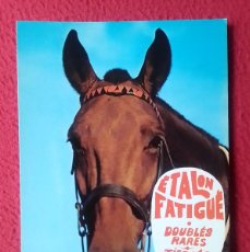 Postales: POSTAL POST CARD CARTE POSTALE CABALLO HORSE CHEVAL CABALLOS HORSES LES CHEVAUX ÉTALON FATIGUÉ HUMOR. Lote 400804289