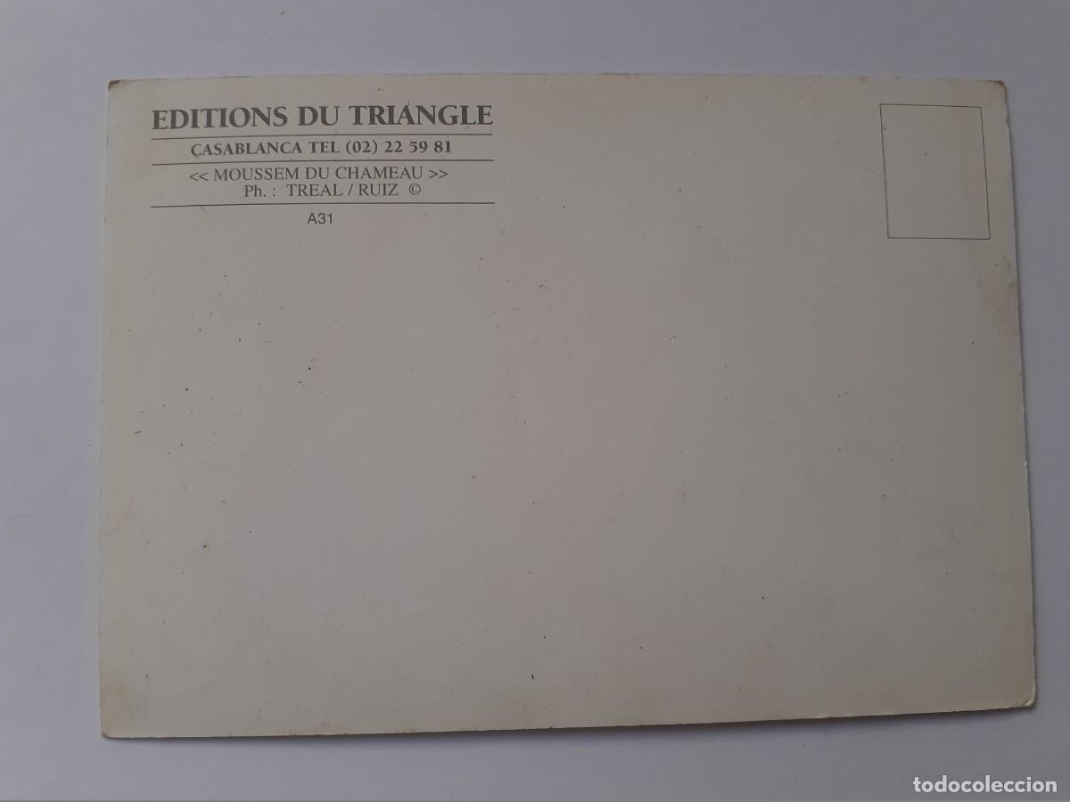 Postales: POSTAL - CAMELLOS - EDITIONS DU TRIANGLE - S/C - Foto 2