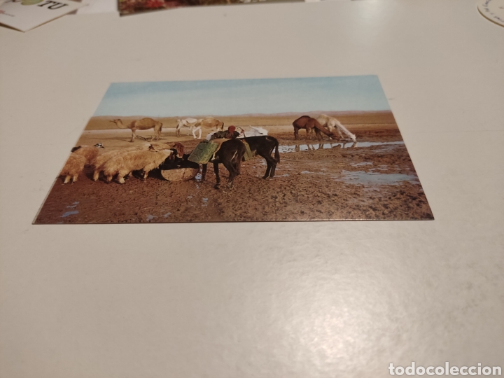 Postales: Postal desierto de Judea - Foto 1